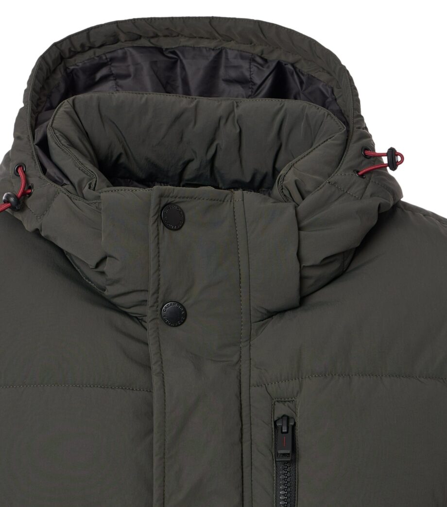 CASAMODA Herren Winter-Steppjacke in oliv WINTERSALE