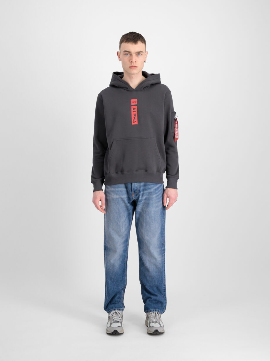 ALPHA INDUSTRIES Herren  Alpha PPrint Hoodie in vintage grey